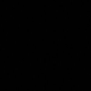 Meet your Posher, Darvin